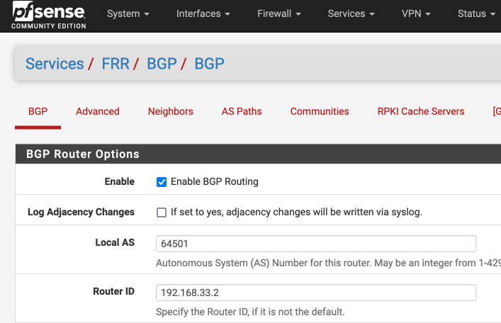 Enabling BGP routing